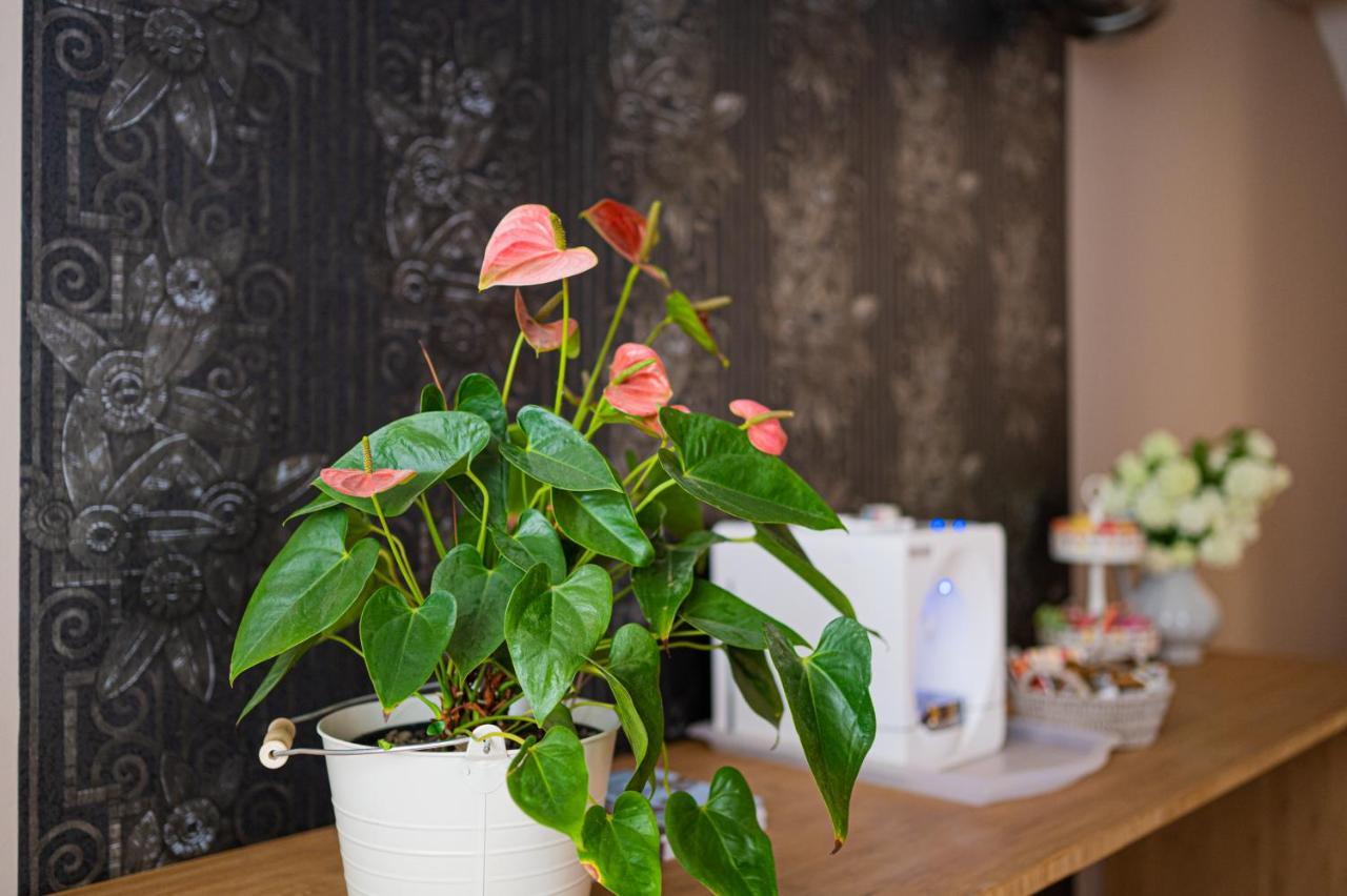 Paon Boutique Apartments ซาเกร็บ ภายนอก รูปภาพ